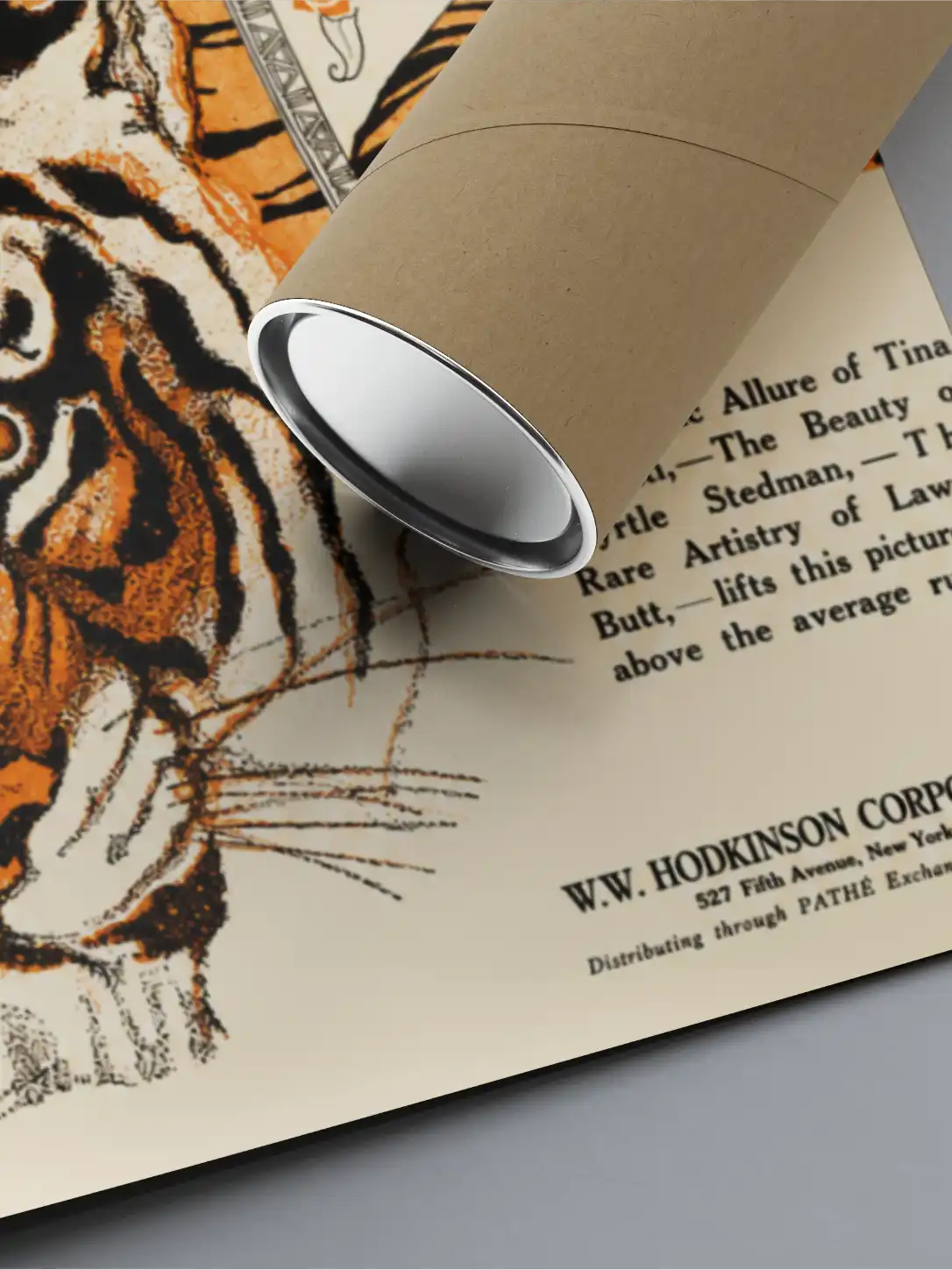 The Tigers Coat Poster