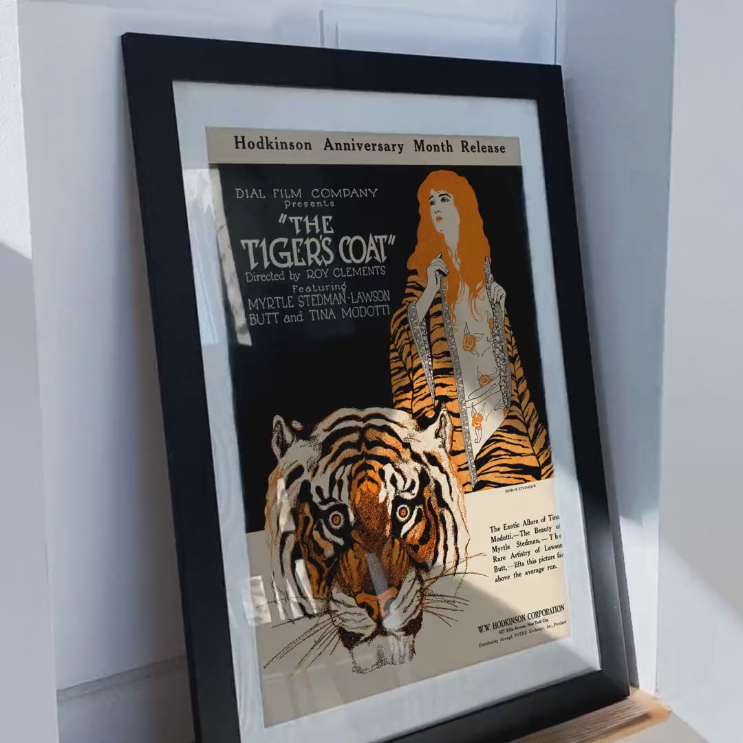 The Tigers Coat Poster